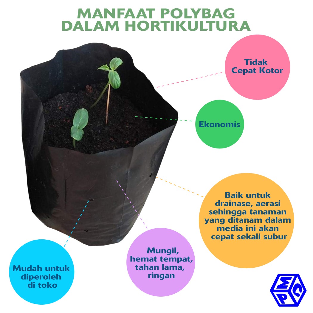 Bertanam Ala Hidroponik, Yuk!