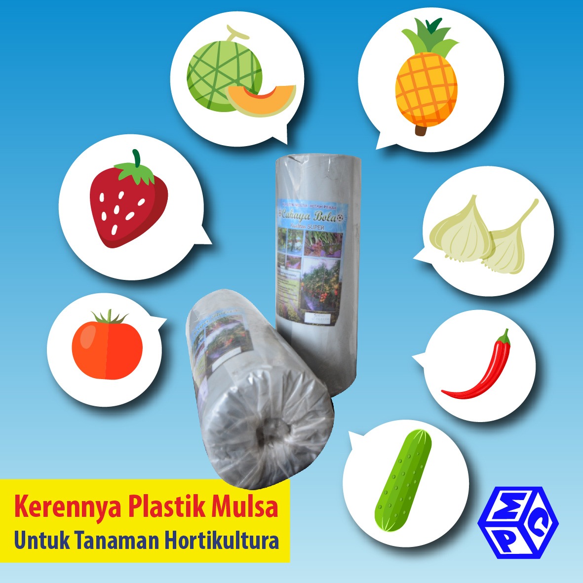 Ciri-Ciri dan Jenis Tanaman Hortikultura yang Perlu Diketahui