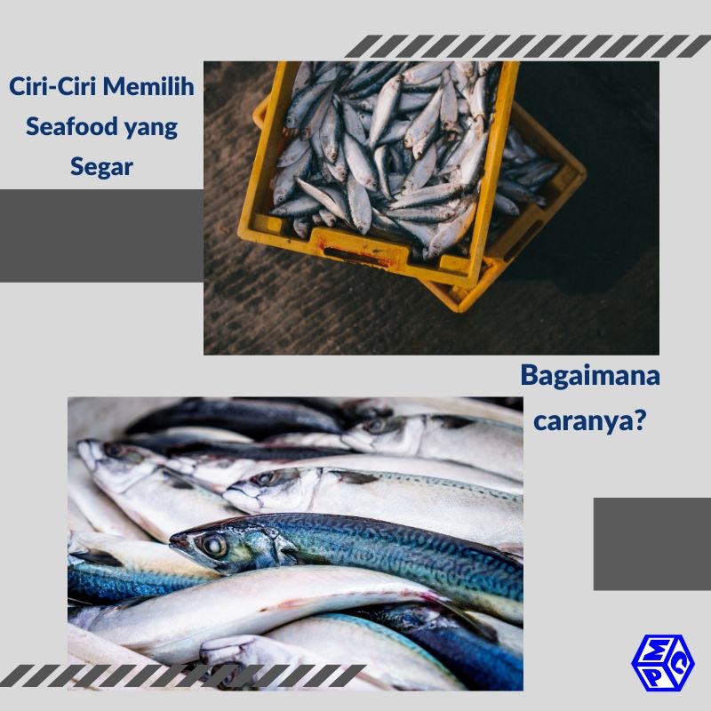 Ciri-Ciri Seafood yang Segar Itu Bagaimana?