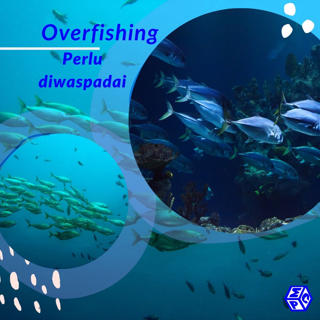 Overfishing. Sebuah Fenomena yang Perlu Anda Waspadai