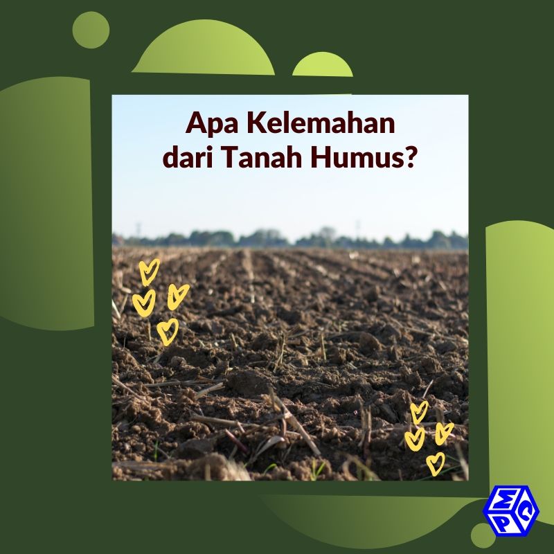 Kelemahan dari Tanah Humus untuk Lahan Pertanian