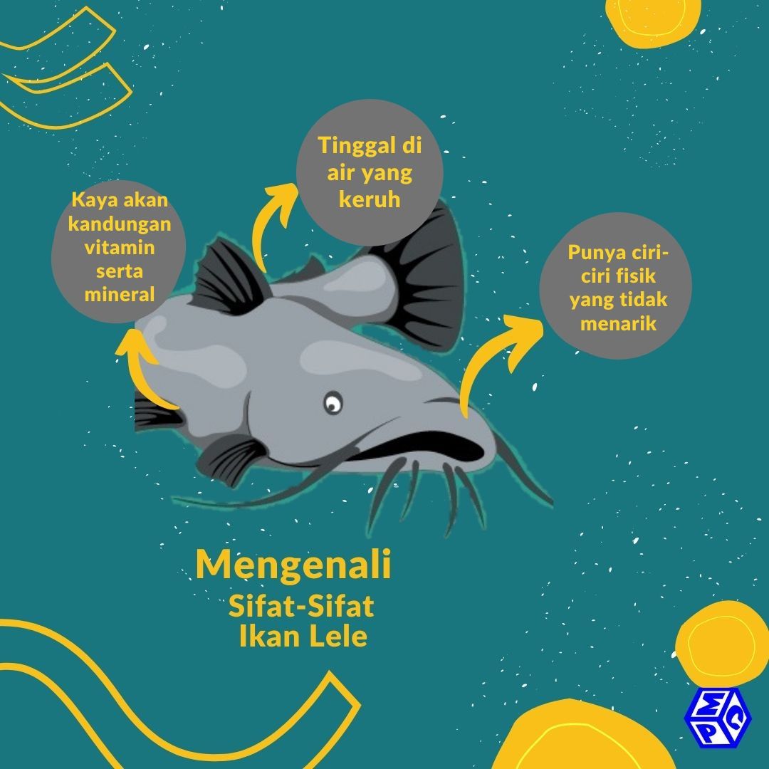 Mengenal Sifat Ikan Lele yang Tersembunyi, Apa Saja?