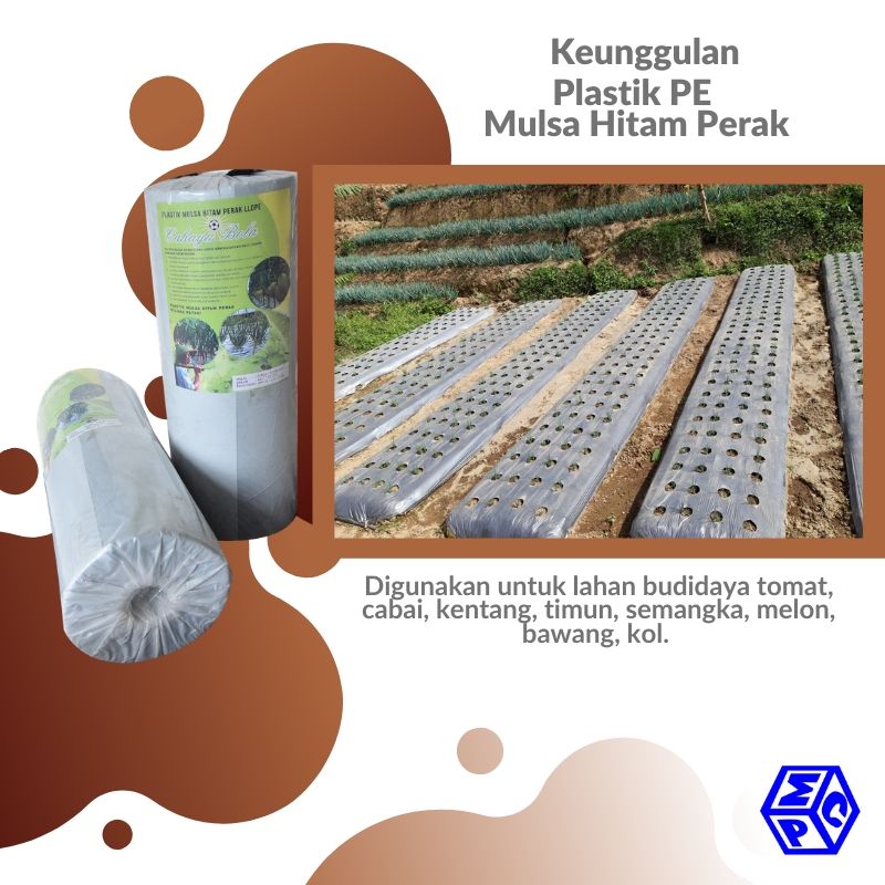 Cerita Tentang Mulsa dan Berbagai Keunggulannya