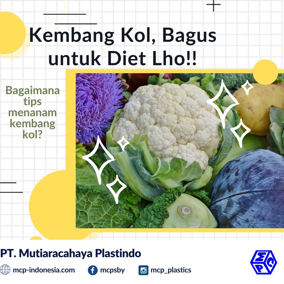 Kembang Kol yang Baik untuk Diet, Bagaimana Cara Membudidayakannya?