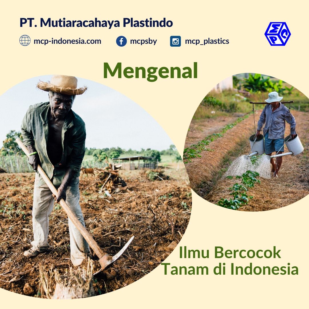 Yuk, Berkenalan Lebih Jauh Tentang Ilmu Bercocok Tanam