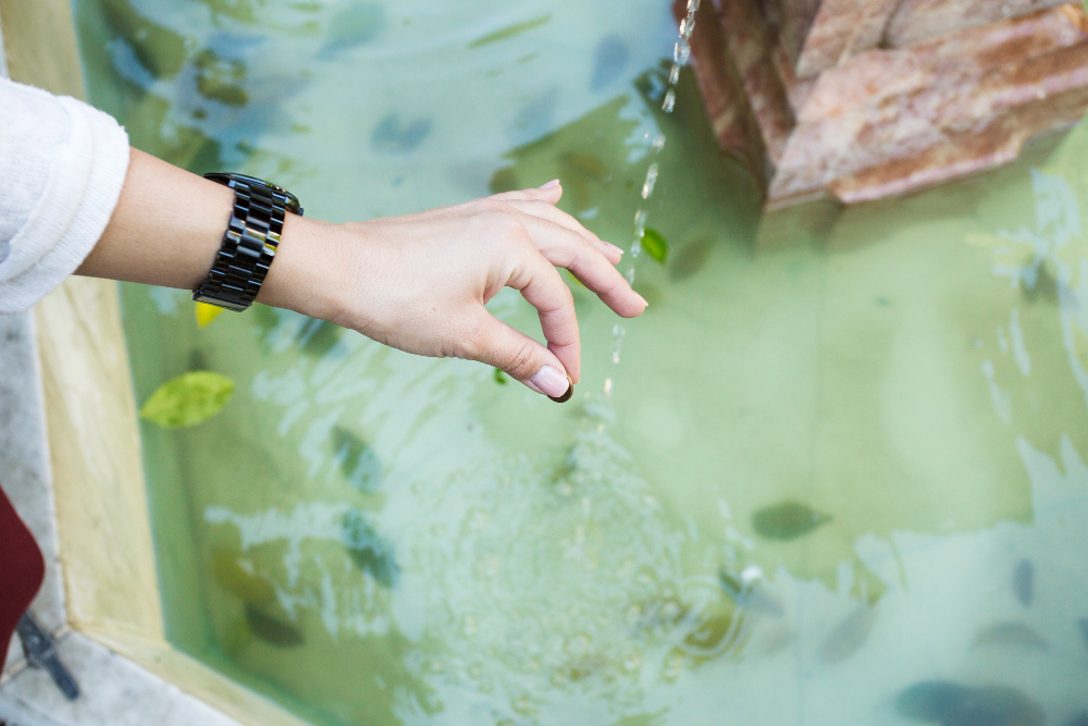 Tantangan Adopsi Smart Aquaculture di Negara Berkembang