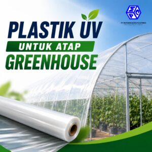 Plastik UV Greenhouse Cahaya Bola