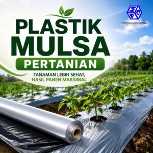 plastik mulsa pertanian untuk budidaya tanaman